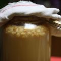 Vin de palme - Tadee/Toddy
