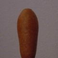 CORN DOG VEGGIEFAST
