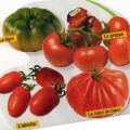 Les tomates