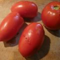 Dossier: Tomates en pots.