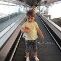 ◊ Notre dernière journée avec les poulettes[...]