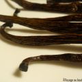 Essence et poudre de vanille