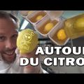Citron en chocolat - Moule gélatine