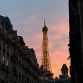 5 adresses de restaurants parisiens[...]