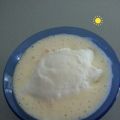 Ile flottante