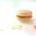 Macarons chocolat blanc et nougatine