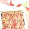Tarte crunchy fraises rhubarbe
