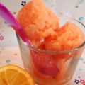 Sorbet  acidulé Ci'pamp !!
