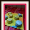 Macaron ma nouvelle Envie...............