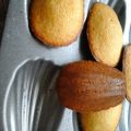 Madeleines miel citron