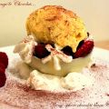Demi-sphère chocolat blanc fruits rouges