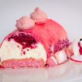 Bûche vanille framboises et biscuits roses -[...]
