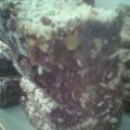 Carrés choco-mangue, un en-cas bien gourmand[...]