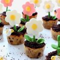 

Cookies Pot de Fleur {Foodista #16}


