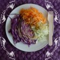 Salade psychédélique : chou rouge, carottes,[...]