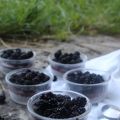 Petits pots chocolat-mûre