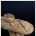 Baguettes semi complètes aux céréales, Recette[...]