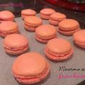 Macarons aux framboises