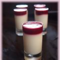 Panna cotta framboise