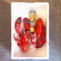 Chaudrée de Homard de la Gaspésie...