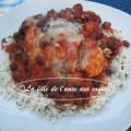 POULET EN SAUCE À LA MEXICAINE
