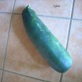 Ramassis d'histoires de courgettes