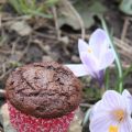 Cupcakes double chocolat et zucchini!