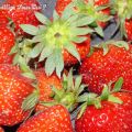 Coulis de Fraises au Vinaigre Balsamique