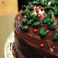 Gâteau moelleux au chocolat et sa Ganache