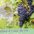 Recette de raisins à l'eau de vie