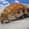 GÂTEAU AUX BLEUETS VITE FAIT