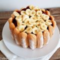 Charlotte chocolat et bananes (Chocolate and[...]