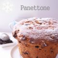 Panettone