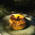 Gratin de patisson