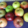 Petite histoire de pommes (Apple story)