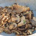 Pleurotes et champignons de Paris en persillade
