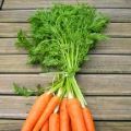 Velouté de carottes