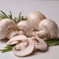 Soupe d'avoine et champignons