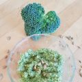 Pesto de brocoli et graines de tournesol