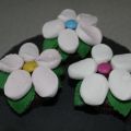 Cupcakes en fleurs