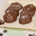 Cookies-brownies aux pépites de chocolat -[...]