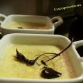Verrine de creme de foie gras au balsamique,[...]