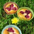 Cupcakes ricotta framboise pavot...légers!,[...]