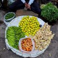 Portrait de marché - Palak paneer