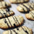Langues de chat