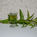 Liqueur de verveine citronnée