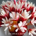 Bouquet de radis, parce que les fleurs c'est[...]
