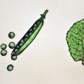 Soupe aux petits pois et à la menthe