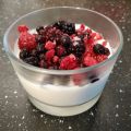 Panna Cotta aux fruits rouges