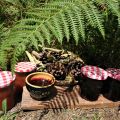 Mes recettes deviennent les vôtres 73